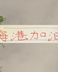 海港也算是把政策用到极致！有五外援 有港澳台 还有归化球员