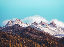 犀利变相！多森姆社媒转发自己大学赛场视频